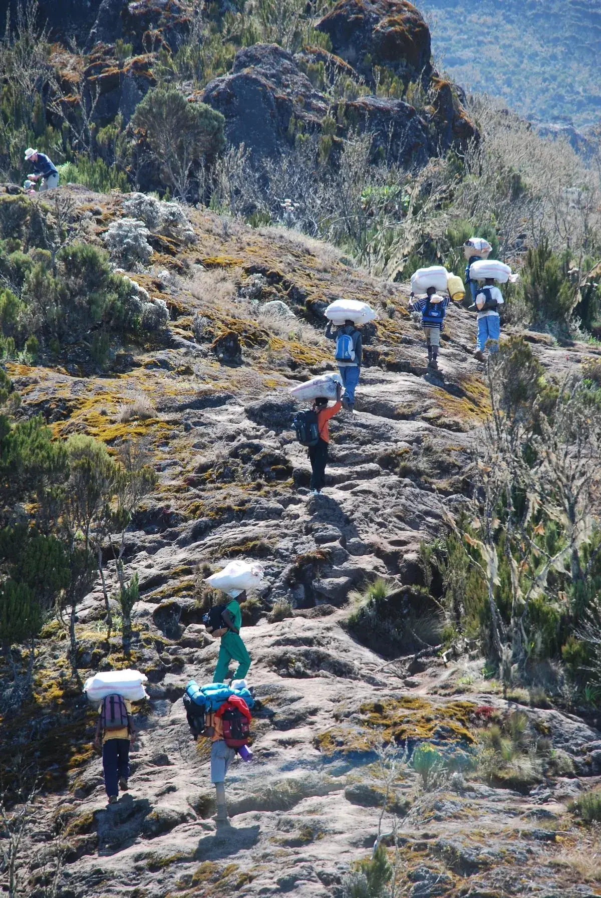 Mount Kilimanjaro guest moment