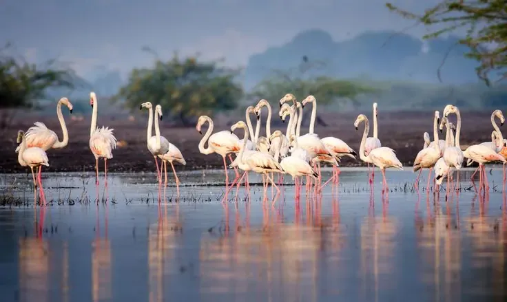 Lake Manyara National Park