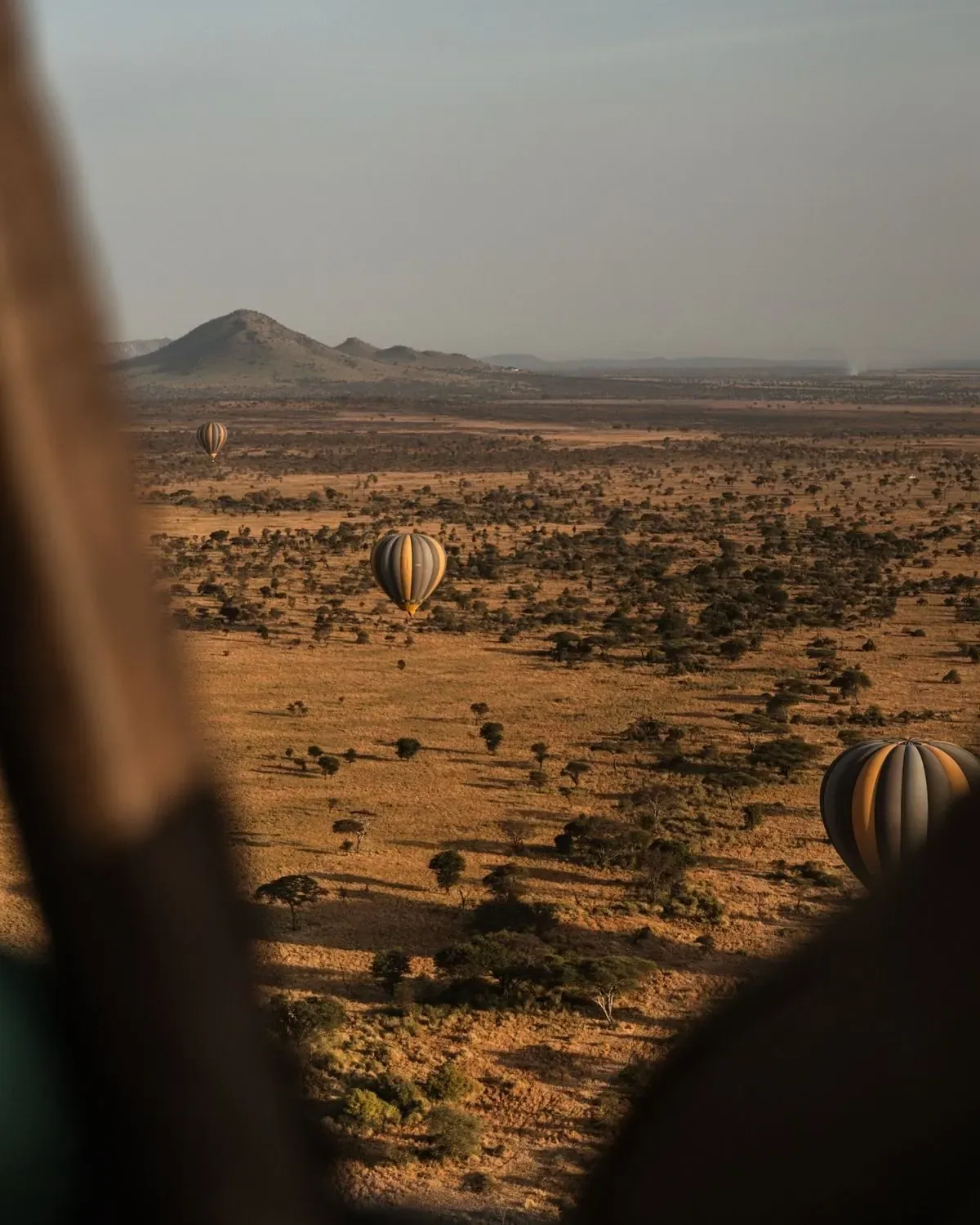 Olduvai Gorge: the Cradle of mankind