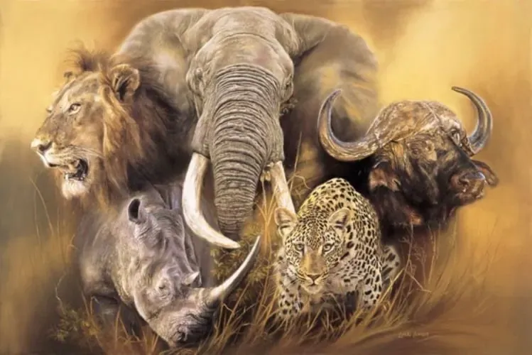 The Big Five animals of Tanzania