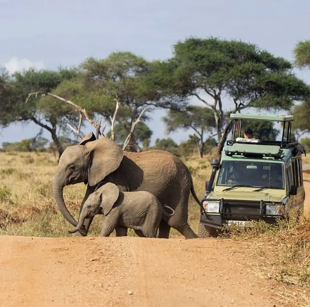 Tanzania National Parks rules