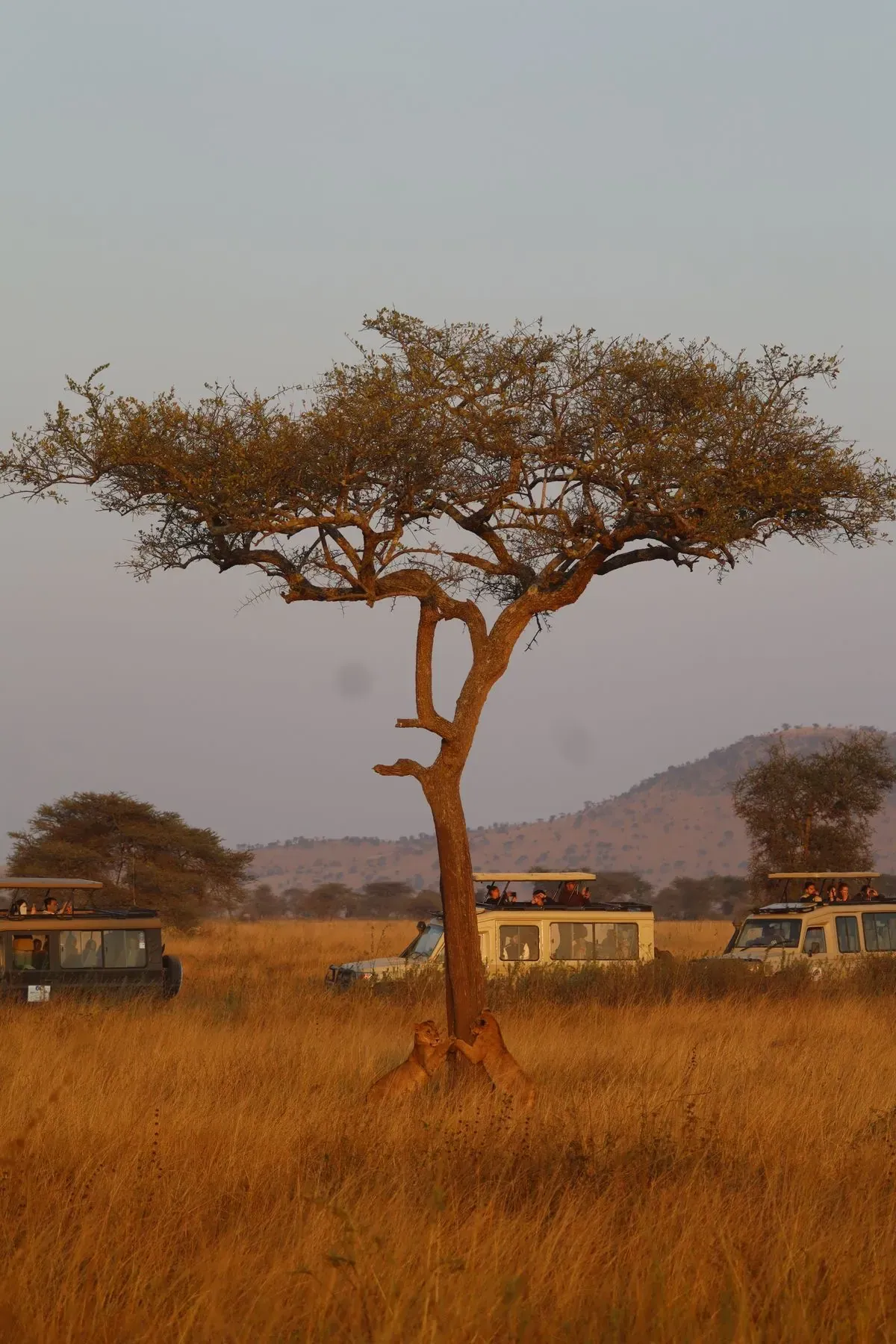 Serengeti National Park